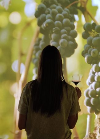 Alice talks about… The Ecole des Vins de Bourgogne