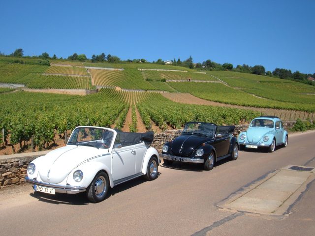 Société Vin et Terroirs / marque Wine and Tours - 2