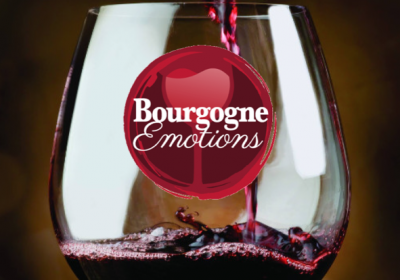 Burgundy Emotions - 9
