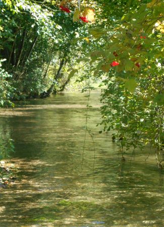 Balades naturalistes gratuites sur la nappe de Dijon Sud  et de la Cent Fonts (Fénay-Saulon-la-Rue,  Saulon-la-Chapelle, Noiron-Sous-Gevrey) – ENS2022
