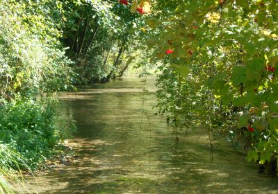 Balades naturalistes gratuites sur la nappe de Dijon Sud  et de la Cent Fonts (Fénay-Saulon-la-Rue,  Saulon-la-Chapelle, Noiron-Sous-Gevrey) – ENS2022 - 0