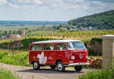 Chemins de Bourgogne – Circuit dans la Côte de Nuits, en Combi-Matin - 2