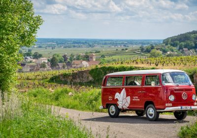 Chemins de Bourgogne – Circuit dans la Côte de Nuits, en Combi – Après-midi - 1