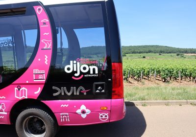 Dijon Oeno Tour - 0