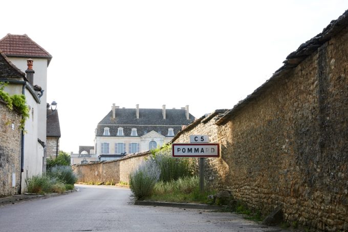 Expérience la Route des Grands Crus – Château de Pommard - 0