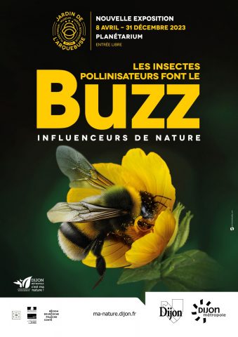 Les insectes pollinisateurs font le buzz - 0