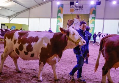 La Ferme Côte-d’Or à la Foire Gastronomique - 0