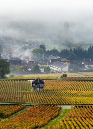 Chemins de Bourgogne – Journée en Côte de Beaune et Côte de Nuits