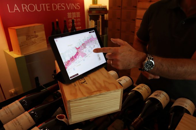 Les Facettes du Pinot Noir : Immersion au cœur des Climats de Bourgogne – La Route des Vins - 0