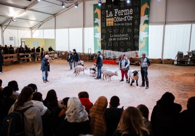 La Foire gastronomique de Dijon et la ferme Côte-d’Or - 2