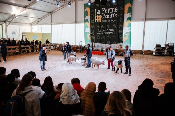 La Foire gastronomique de Dijon et la ferme Côte-d’Or - 2