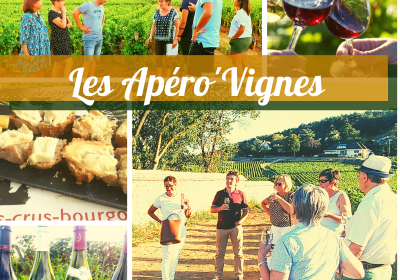 Clos de bourgogne, découverte des secrets “vigne et vin” - 5