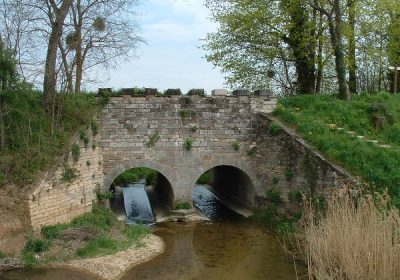 Balades naturalistes gratuites sur la nappe de Dijon Sud  et de la Cent Fonts (Fénay-Saulon-la-Rue,  Saulon-la-Chapelle, Noiron-Sous-Gevrey) – ENS2022 - 4