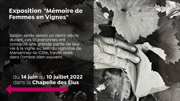 Exposition “Mémoire de Femmes en Vignes” - 0