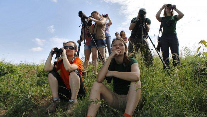 EuroBirdwatch : découverte des oiseauxmigrateurs au plateau de la Cras à Dijon - 0