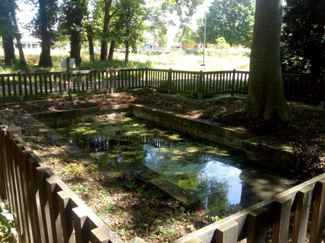 Chantier nature au bois du Ru de Pouilly_ENS2024 - 1