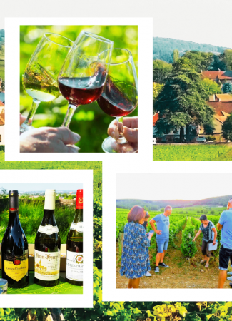 Clos de bourgogne, découverte des Secrets “vigne et vin”