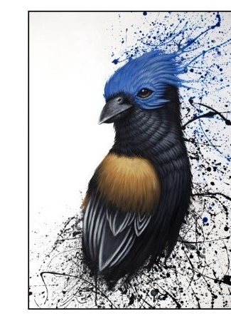 Exposition Florian Labaye “Rêves Sauvages” et LPO “Portraits d’oiseaux”