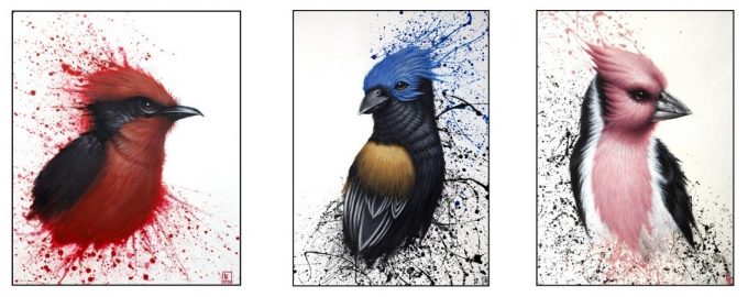 Exposition Florian Labaye “Rêves Sauvages” et LPO “Portraits d’oiseaux” - 0
